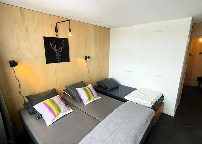 L'everest - 2 Pieces 5 Pers - L'everest - 031ev -plagne Centre Mae-9504